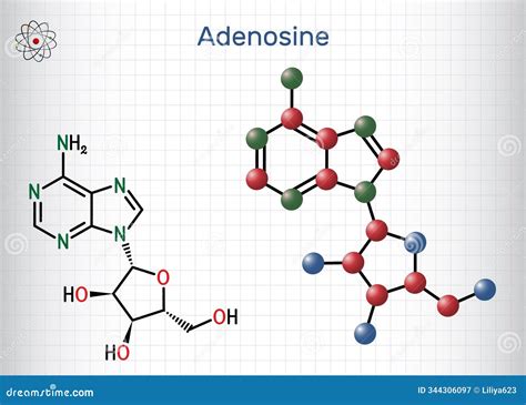 Adenosine