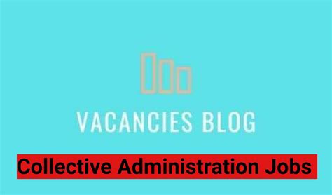 Administration Vacancies In Egypt Vacanciesblog 2025 Administration Vacancies In Egypt Vacanciesblog 2025