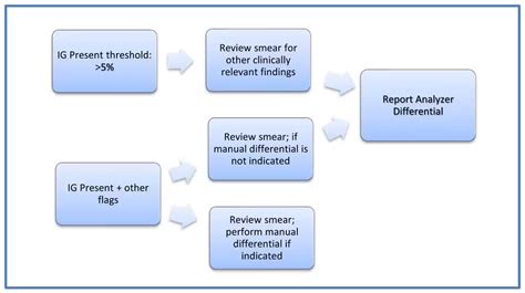 Advanced Clinical Parameters Achieving Efficiency With Automated