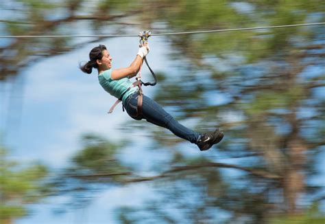 Adventure Packed Sarasota Florida Activities For Thrill Seekers Must Do Visitor Guides