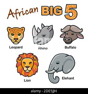 African Big 5 Lion Leopard Elephant Rhino And Buffalo Facts