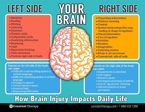 After Damage To The Right Hemisphere Right Vs Left Brain Injury