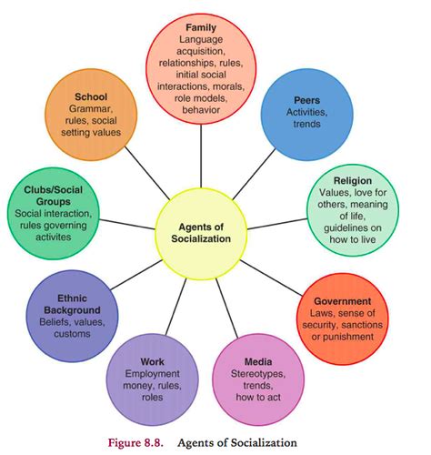 Unlocking Power of Agents of Socialization