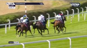 Alan King Race Record Statistics Wins Racing Tv Alan King Race Record Statistics Wins Racing Tv