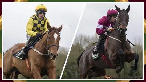 Alastair Down Betfair Community Horse Racing