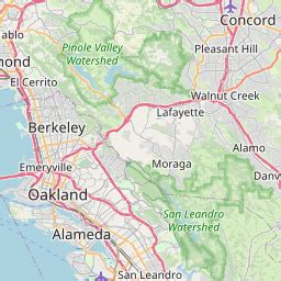 Albany Real Estate East Bay East Bay Realtor Zip Code East Bay