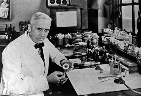 Alexander Fleming El Padre De La Penicilina Vrogue Co