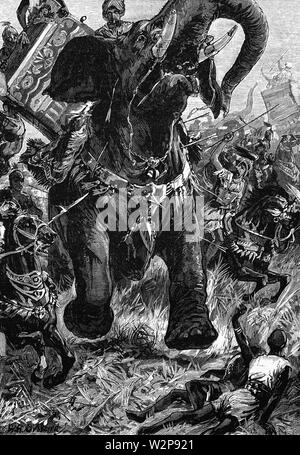 Alexander The Great Fighting Indian Army Of Elephants Stock Photo Alamy