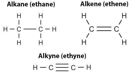 Alkane Alkene Alkyne Difference