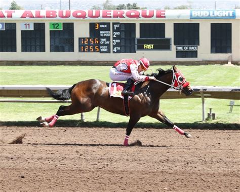 All American Futurity Winner Included In Racehorses Testing Positive For Drugs Trainers Suspended Ruidoso News