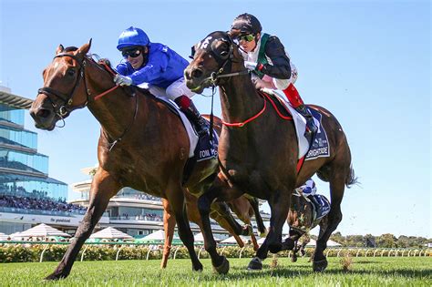 All Star Mile 2025 Betting Tips Will Mr Brightside Record A 10Th All Star Mile 2025 Betting Tips Will Mr Brightside Record A 10Th