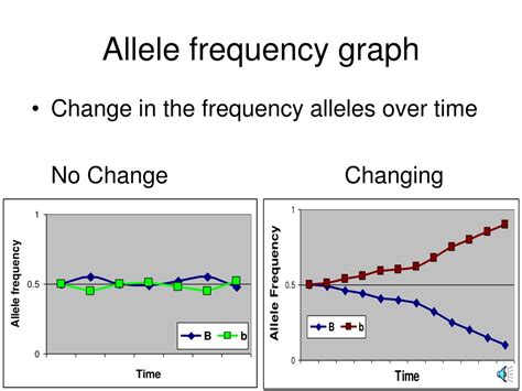 Allele Frequency Graph