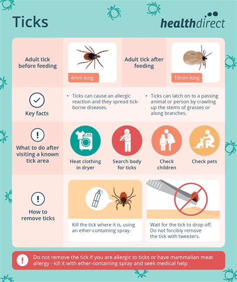 Allergic Reaction To Tick Bites