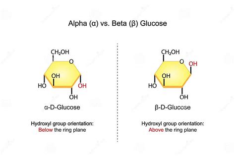Alpha Versus Beta Glucose Chemical Structure Chemistry Scientific
