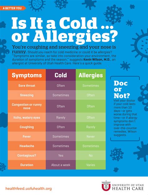 Am I Allergic To Winter Cold Vs Allergy Symptoms Am I Allergic To Winter Cold Vs Allergy Symptoms