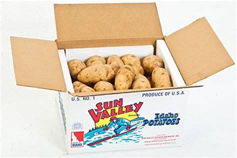 Amazon Com Fresh Idaho Russet Potatoes 20Lb Box Grocery Gourmet Food