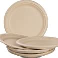Amazon Com Pro Grade Biodegradable 10 Inch Plates Bulk 50 Pack Great For Lunch Dinner Parties And Potlucks Disposable Compostable Wheatstraw Paper Alternative Sturdy Soakproof And Microwave Safe Health Household