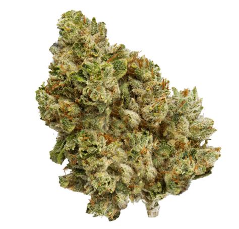 Amazon Organics Premium Eugene Cannabis Dispensary