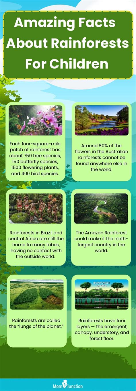 Amazon Rainforest Animals Facts And Pictures For Kids Glad Philis Amazon Rainforest Animals Facts And Pictures For Kids Glad Philis