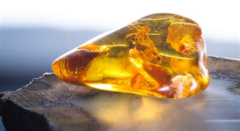 Amber Meanings Properties And Uses Crystalstones Com