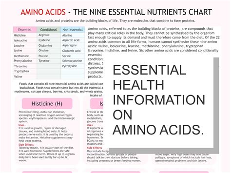 Amino Acids Chart Digital Download Pdf Essential Amino Acid Health