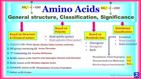 Amino Acids Structure Classification And Function