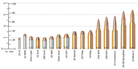 Ammo Caliber Size Chart Sportsman'S Warehouse, 59% Off