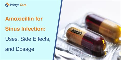 Amoxicillin For Sinus Infection Uses Side Effects And Dosage Amoxicillin For Sinus Infection Uses Side Effects And Dosage