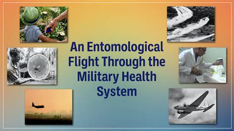 An Entomological Flight Through The Military Health System Health Mil