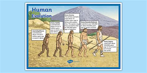 An Info Poster With Information About Human Evolution And The Different Types Of Animals That