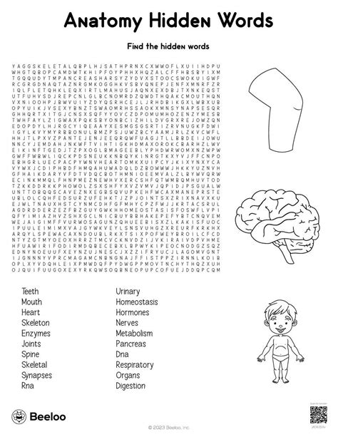 Anatomy Hidden Words Beeloo Printable Crafts And Activities For Kids Anatomy Hidden Words Beeloo Printable Crafts And Activities For Kids