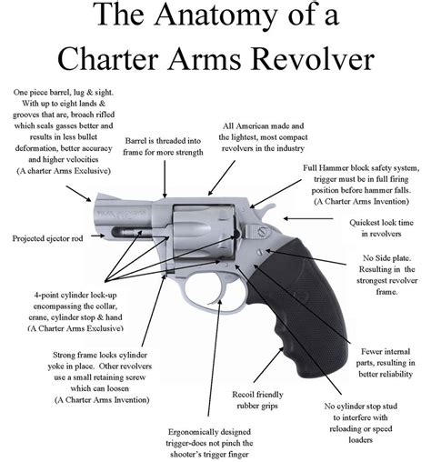 Anatomy Of A Charter Arms Revolver Charter Arms