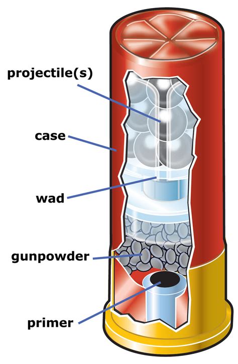 Anatomy Of A Shotgun Shell Pullusa Magazine