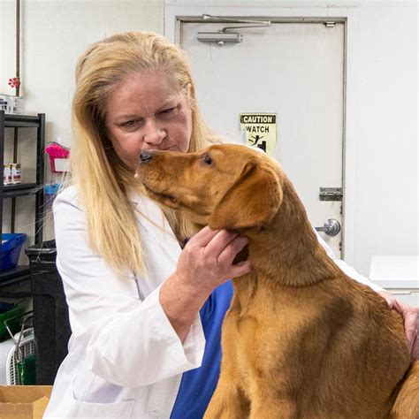 Animal Emergency Jobs At Janel Mangum Blog Animal Emergency Jobs At Janel Mangum Blog