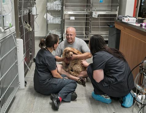 Animal Hospital Coming To Hoboken Will Specialize In Late Night Animal Hospital Coming To Hoboken Will Specialize In Late Night