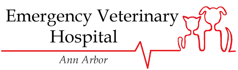 Ann Arbor Emergency Vet