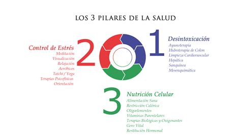 Ansl Las Bi Logas Y Los Bi Logos Pilares Fundamentales De La Salud Ansl Las Bi Logas Y Los Bi Logos Pilares Fundamentales De La Salud