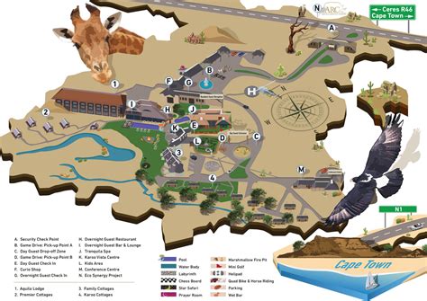 Aquila Game Reserve Where Wildlife Encounters Meet Paradise