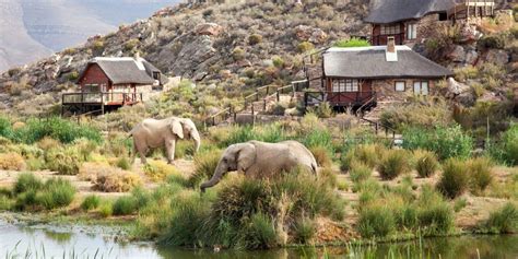 Exploring Aquila South Africa: A Hidden Gem for Travel and Adventure