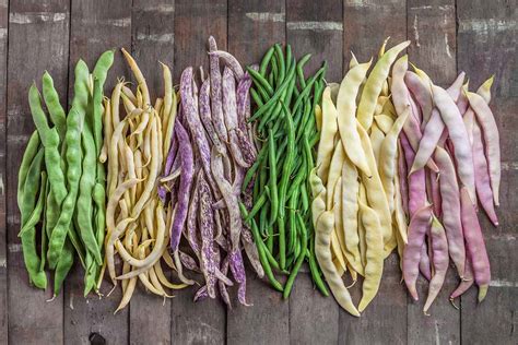 5 Ways Beans Are Vegetables