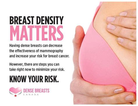 Are Dense Breasts Firmer