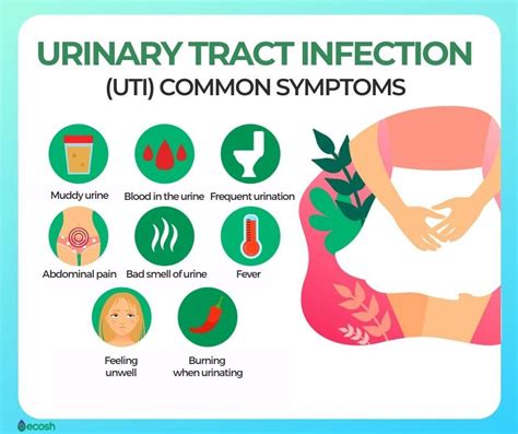 Are Utis Contagious Symptoms Transmissions