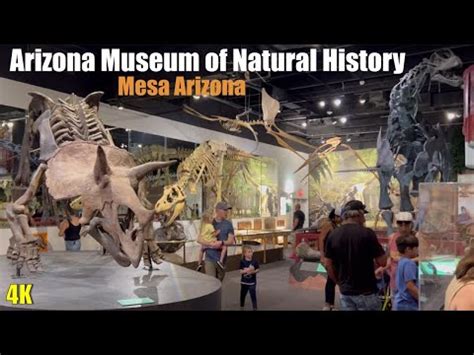 Arizona Museum Of Natural History Visit Arizona