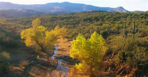 Arizona Scenic Drive Black Canyon City