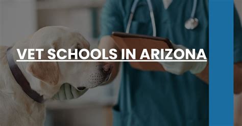 5 Tips Arizona Vet School