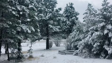 Arizona Weather A Chilly March 2021 Up North