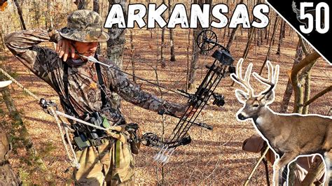 Arkansas Deer Hunting Public Land With A Bow