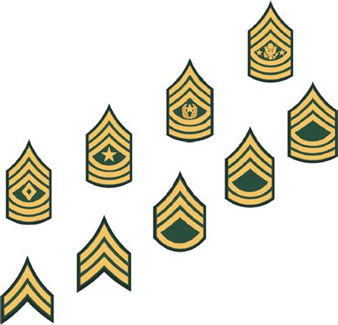 Army Nco Rank Insignia