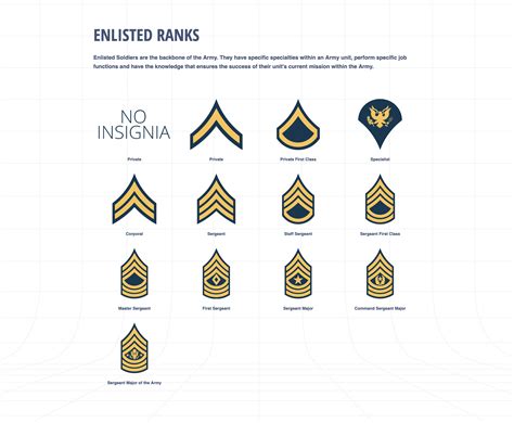 Army Ranks Military Ranks Military Insignia Military Units Military