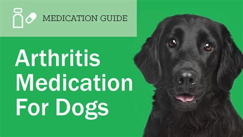 Arthritis Medications For Dogs